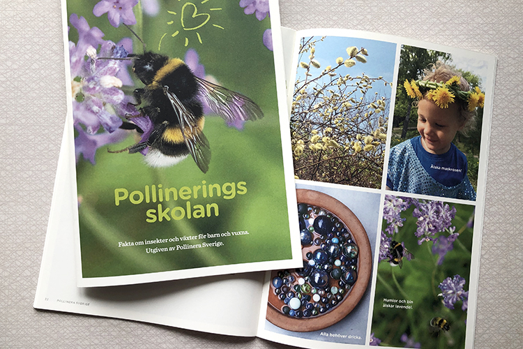 pollineringskola-webb
